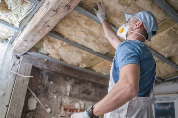 Best Energy Efficiency Solutions in Haskins, OH